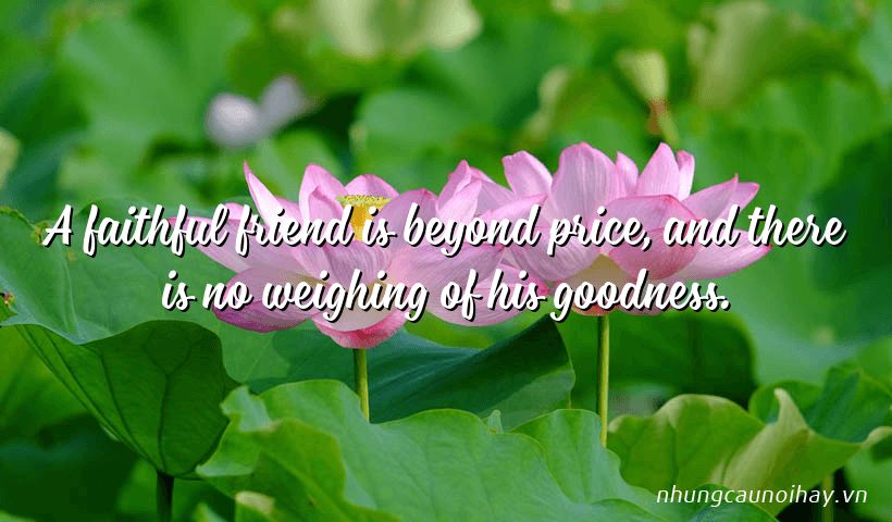 A faithful friend is beyond price, and there is no weighing of his goodness.