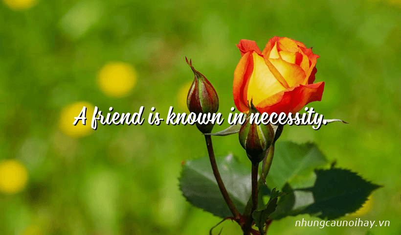 A friend is known in necessity.