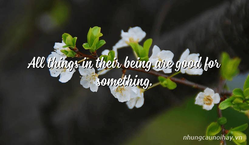 All things in their being are good for something.