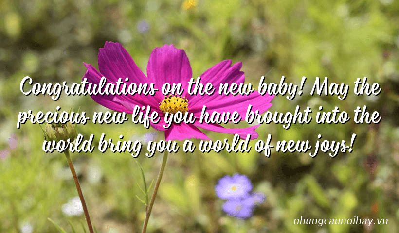 Congratulations on the new baby! May the precious new life you have brought into the world bring you a world of new joys!