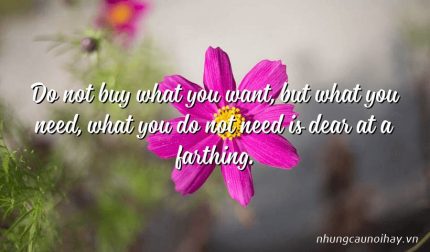 Do not buy what you want, but what you need, what you do not need is dear at a farthing.