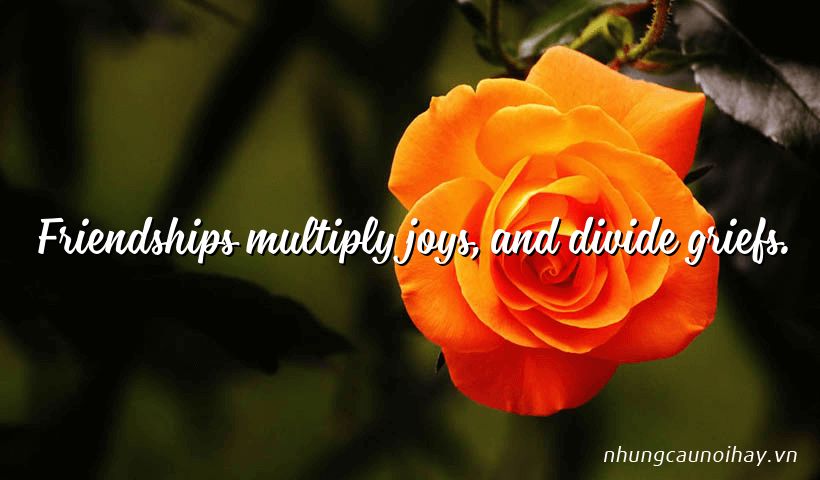 Friendships multiply joys, and divide griefs.