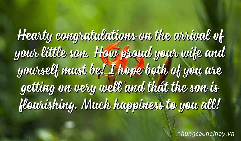 Hearty congratulations on the arrival of your little son. How proud your wife and yourself must be! I hope both of you are getting on very well and thát the son is flourishing. Much happiness to you all!