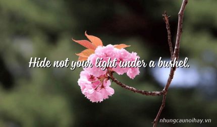 Hide not your light under a bushel.