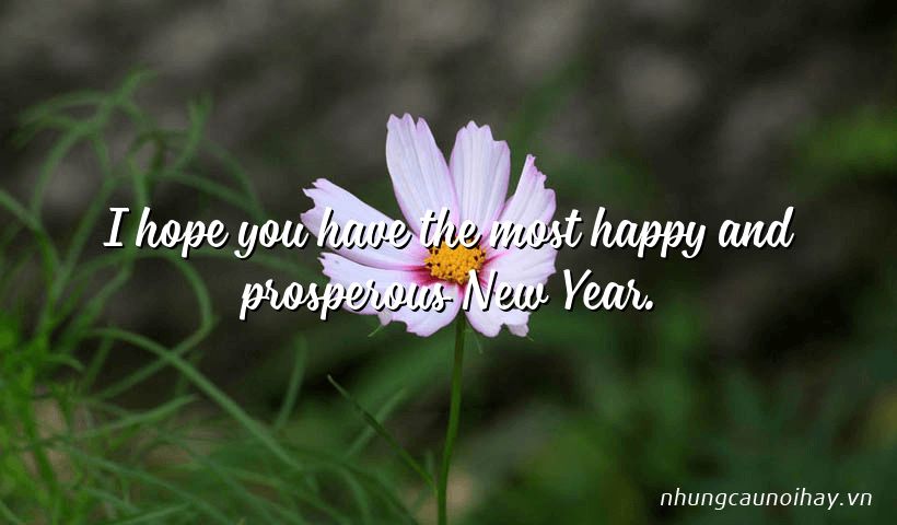I hope you have the most happy and prosperous New Year.