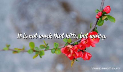 It is not work that kills, but worry.