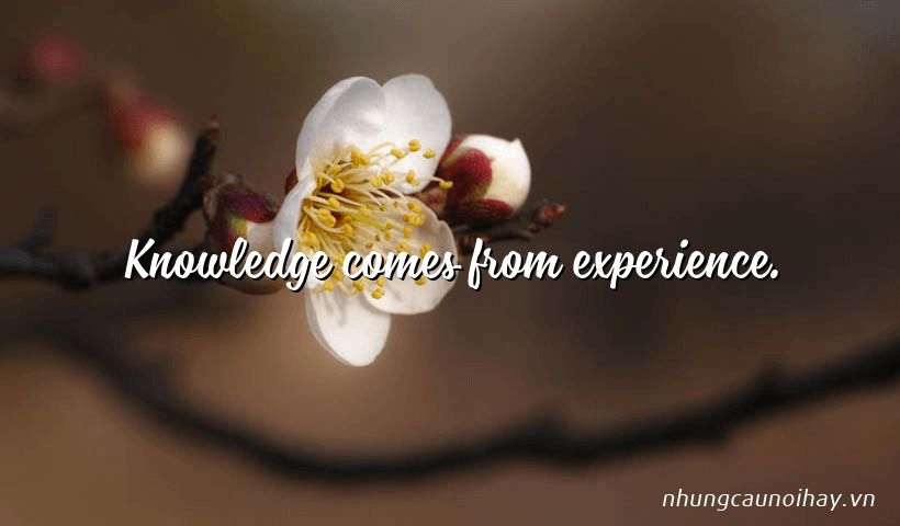 Knowledge comes from experience.