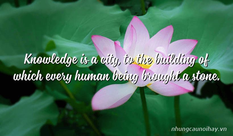 Knowledge is a city, to the building of which every human being brought a stone.