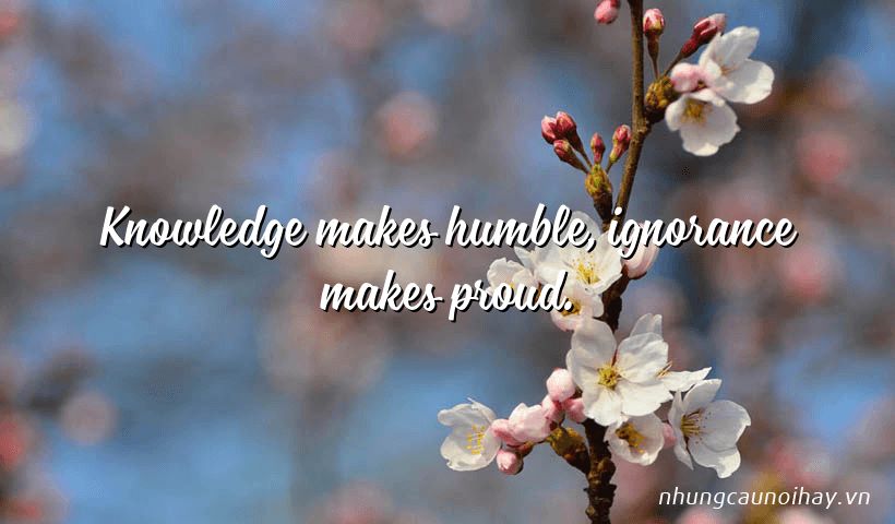 Knowledge makes humble, ignorance makes proud.