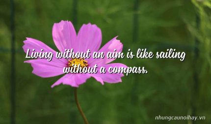 Living without an aim is like sailing without a compass.