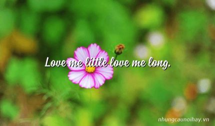 Love me little love me long.