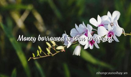 Money borrowed is soon sorrowed.