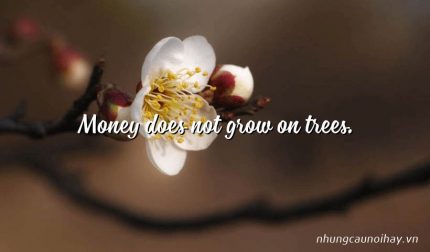 Money does not grow on trees.