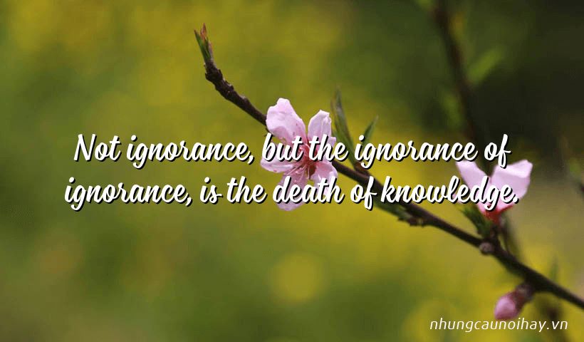 Not ignorance, but the ignorance of ignorance, is the death of knowledge.