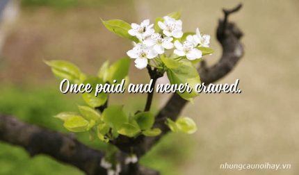 Once paid and never craved.