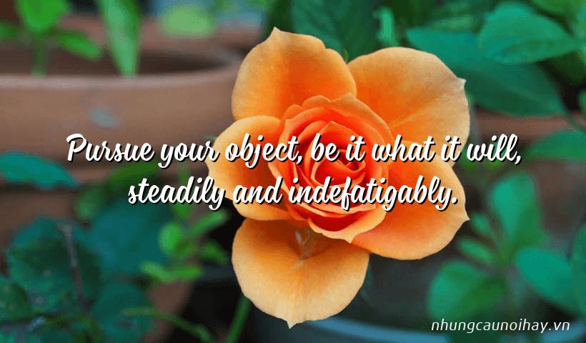 Pursue your object, be it what it will, steadily and indefatigably.