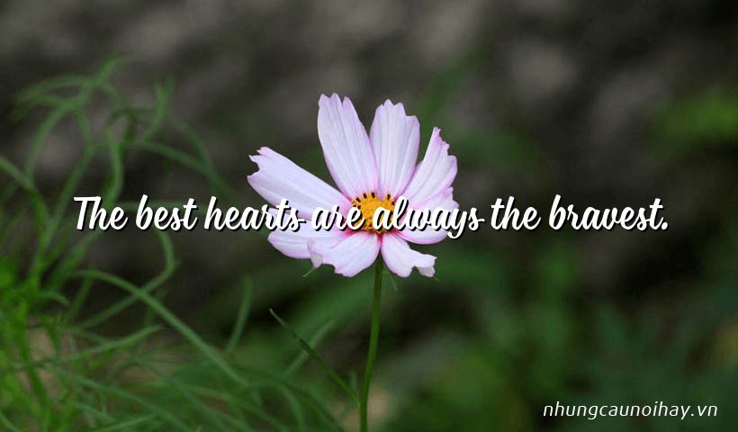 The best hearts are always the bravest.