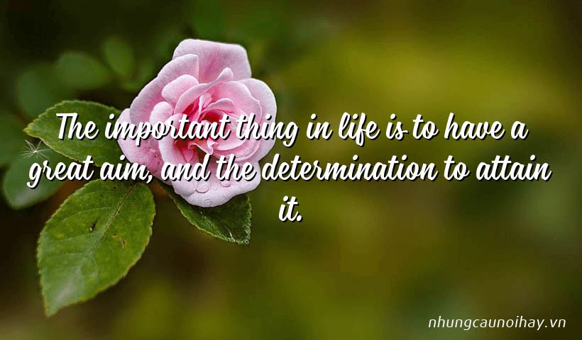 The important thing in life is to have a great aim, and the determination to attain it.