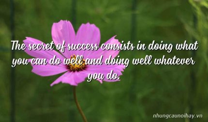 The secret of success consists in doing what you can do well and doing well whatever you do.