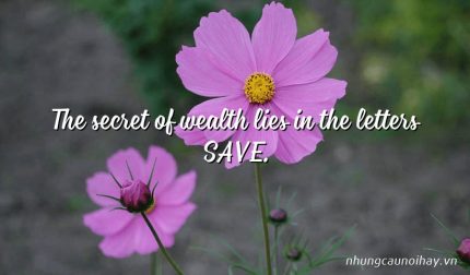 The secret of wealth lies in the letters SAVE.