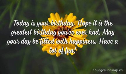 Today is your birthday. Hope it is the greatest birthday you’ve ever had. May your day be filled with happiness. Have a lot of fun!