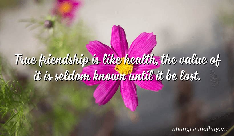 True friendship is like health, the value of it is seldom known until it be lost.