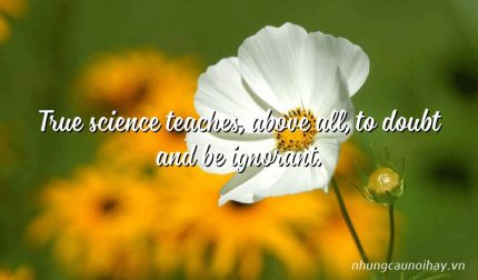 True science teaches, above all, to doubt and be ignorant.