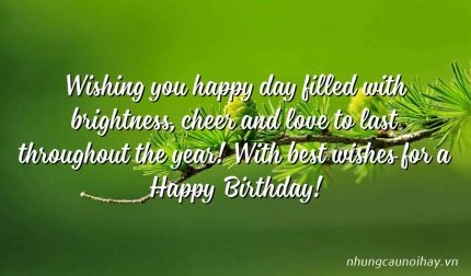 Wishing you happy day filled with brightness, cheer and love to last throughout the year! With best wishes for a Happy Birthday!